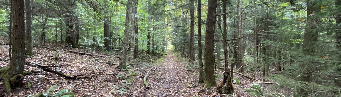 Appalachian Lutheran League